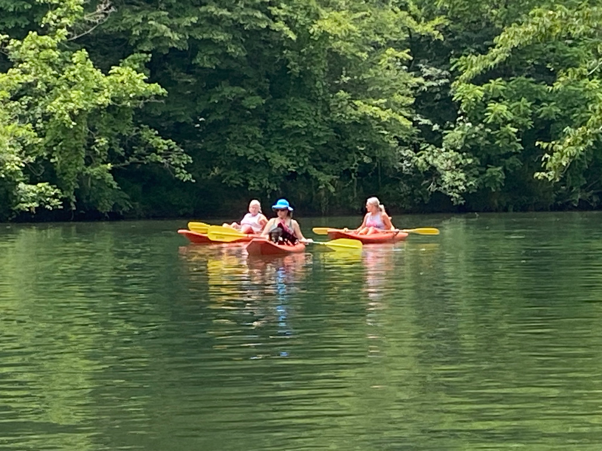 Terrapin Creek paddling scene